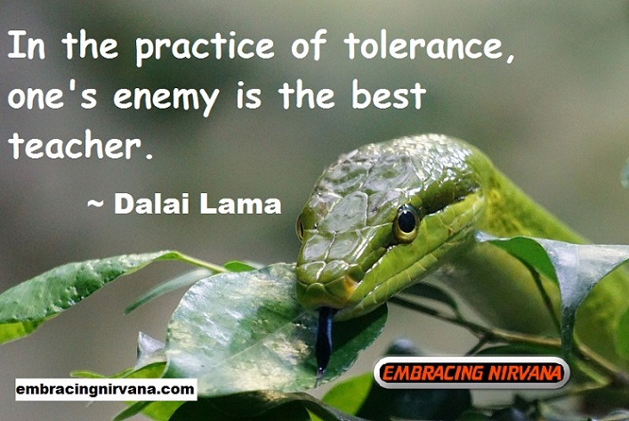 Dalai Lama Quote